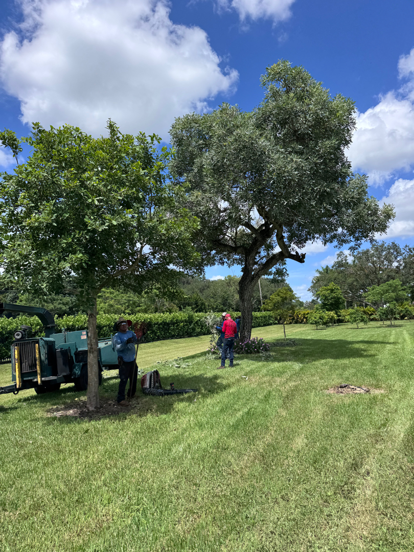 Landscape maintenance Weston FL HOA property
