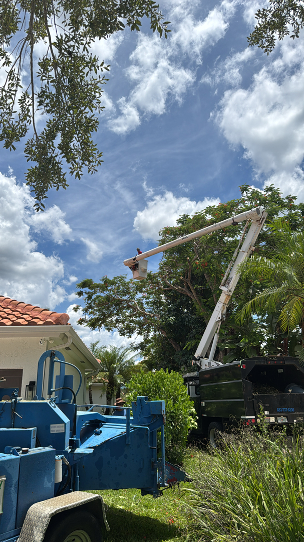 HOA landscaping Hollywood Broward County
