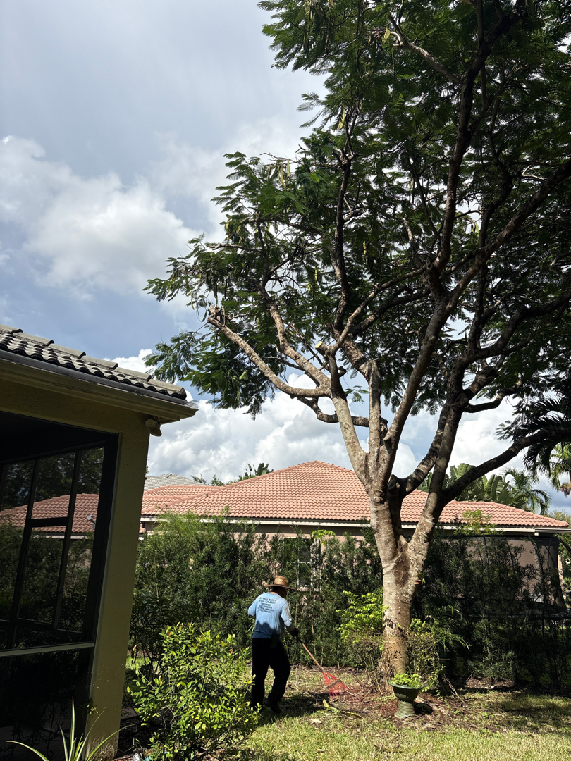Landscape maintenance Fort Lauderdale FL