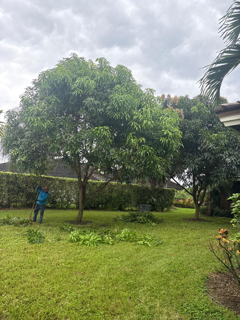 Lawn care Fort Lauderdale commercial property
