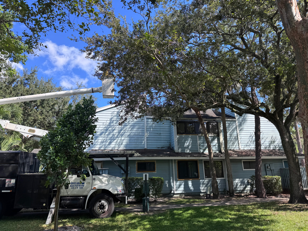 Landscape maintenance Davie FL