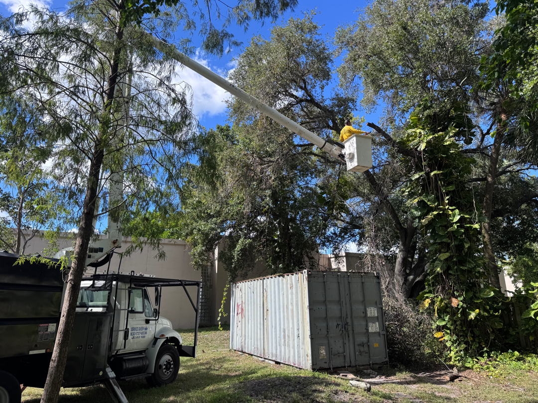 Commercial landscaping Davie Broward County