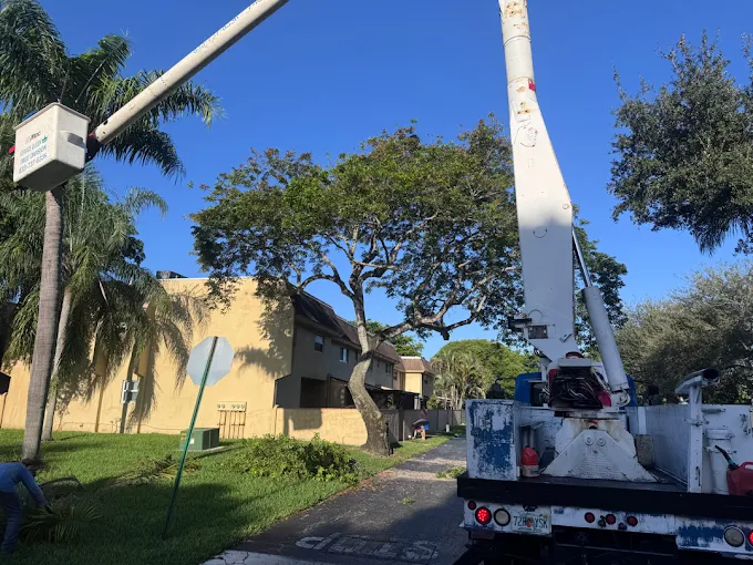 Landscaping in Boynton Beach - FL as a crew edges a lawn and clears palm debris