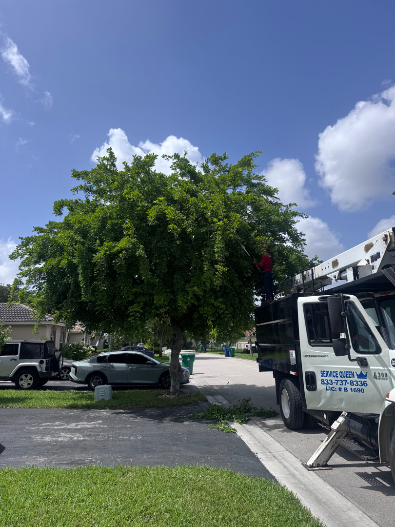 Commercial lawn care Weston Broward County