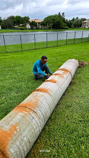 Landscaping in Davie - FL in progress as a crew trims hedges beside a front lawn