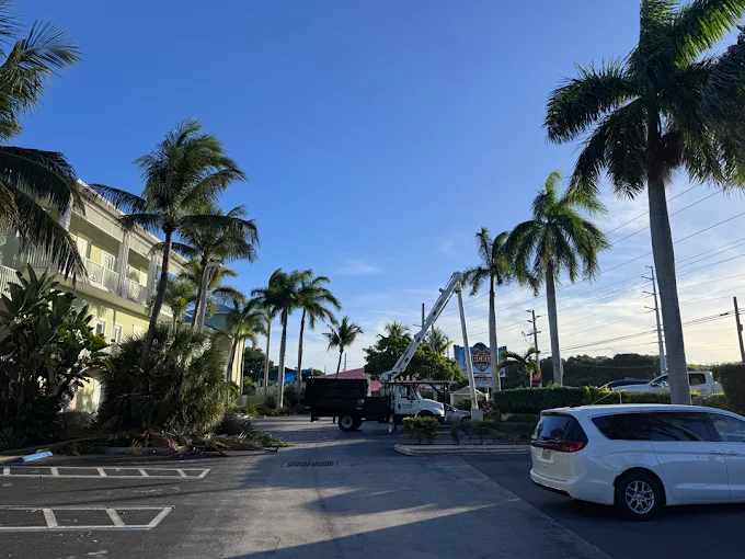 Bucket truck tree trimming Davie Broward County