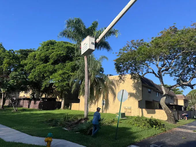 Landscaping team in Davie - FL edging a driveway and shaping shrubs for a cleaner yard
